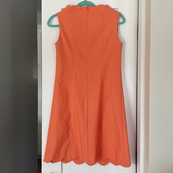 Sara Campbell Signature Stretch Scallop Dress - Picture 3 of 9